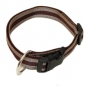 Preview: Hundehalsband Nylon Wienerlock Steckschloss mehrfarbig