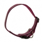 Preview: Hundehalsband Nylon Wienerlock Steckschloss mehrfarbig