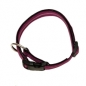 Preview: Hundehalsband Nylon Wienerlock Steckschloss mehrfarbig