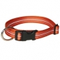 Preview: Hundehalsband Nylon Wienerlock Steckschloss mehrfarbig