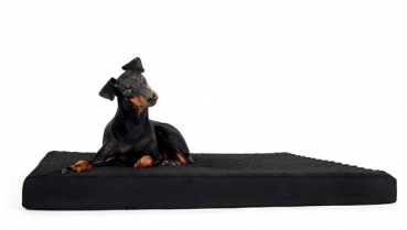 Back on track Hundematratze Memory foam 100x120