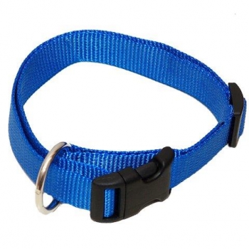 Hundehalsband Nylon Wienerlock Steckschloss uni