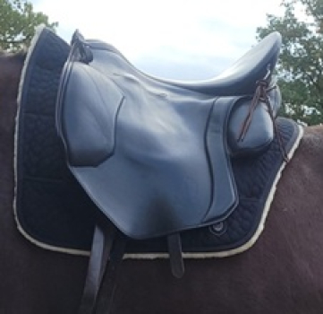 Preview: Christ Lammfell Satteldecke Champ Sommer Spirit