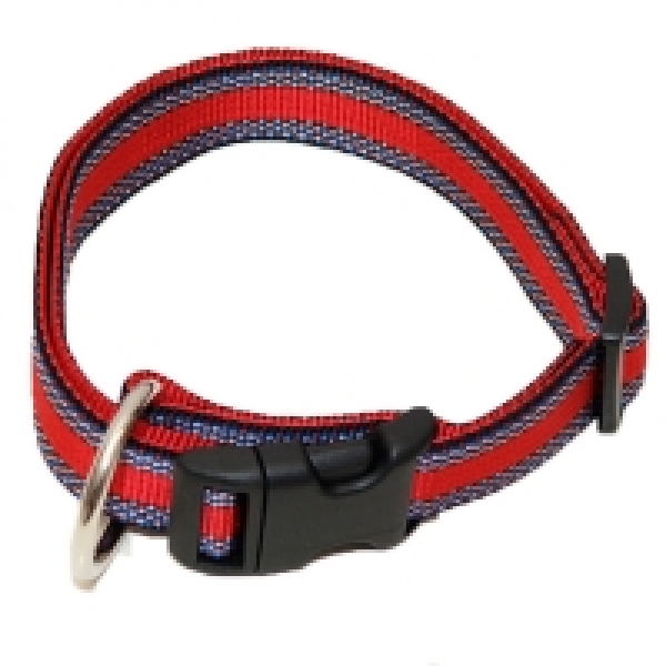 Hundehalsband Nylon Wienerlock Steckschloss mehrfarbig