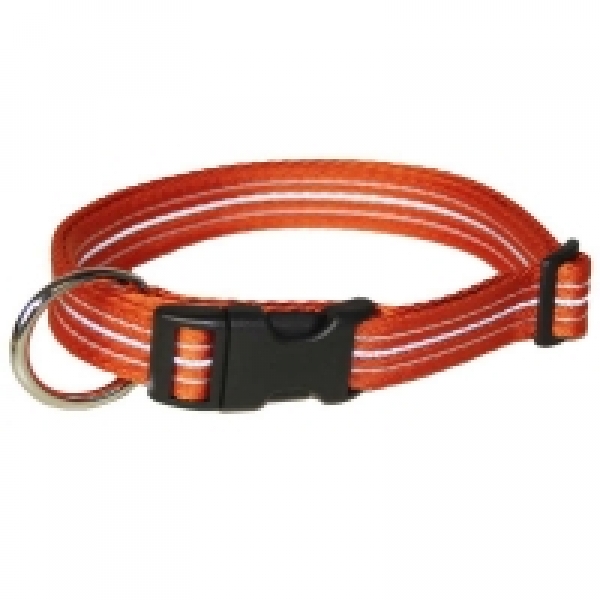 Hundehalsband Nylon Wienerlock Steckschloss mehrfarbig