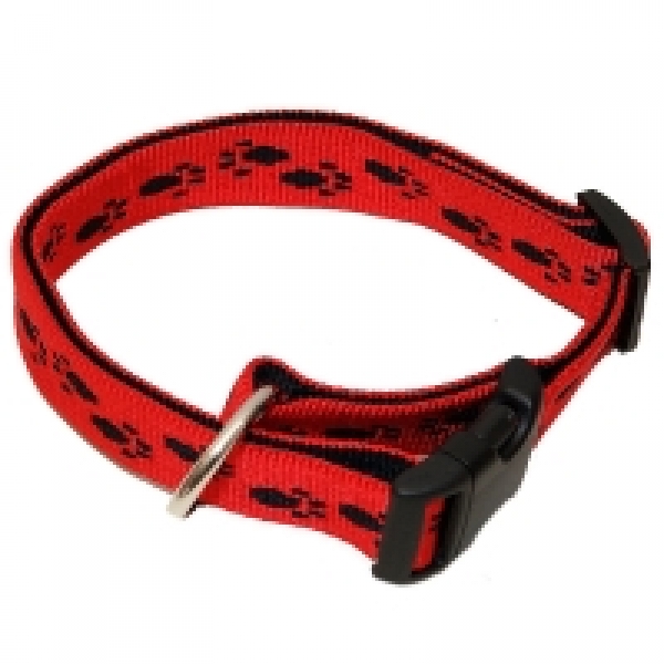 Hundehalsband Nylon Wienerlock Steckschloss mehrfarbig