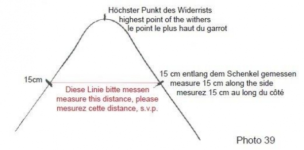 pferdeladen-online.de - Mattes Lammfell Fellsattel ...